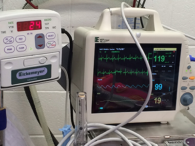 Surgical monitors | Cambridge Veterinary Services Cambridge, Ontario