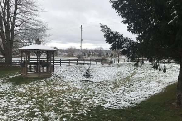 Our fully fenced dog park