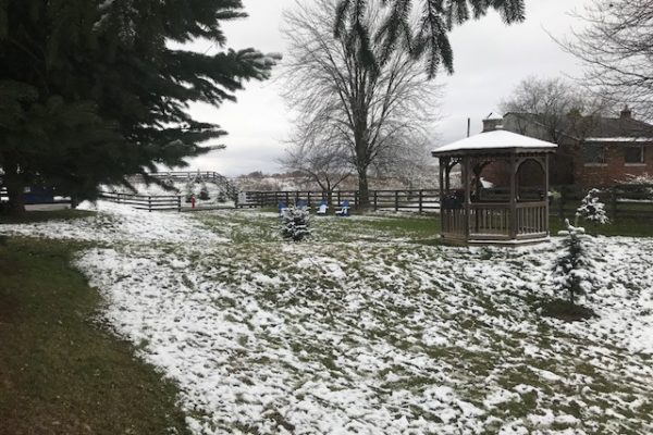 Our fully fenced dog park