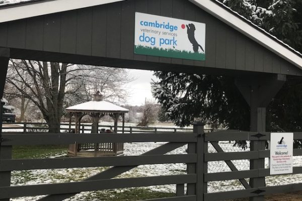 Dog park entrance