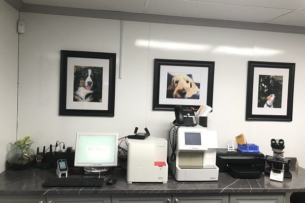 In-clinic laboratory