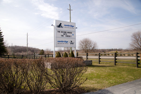 Road-facing sign and green space