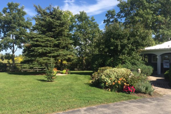 Clinic gardens